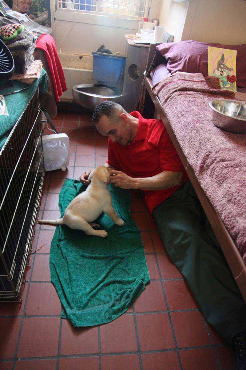 man in cell with a puppy