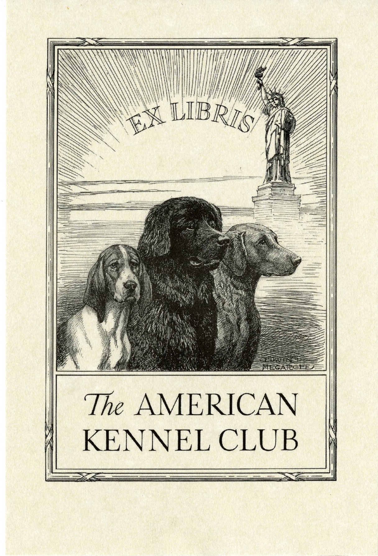 What services does the American Kennel Club offer?