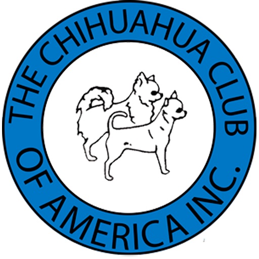 Vintage Mid Century Boston Terrier Club Of America Champion Medallion 