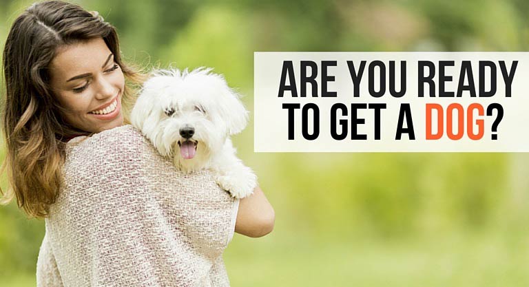 Quiz: Are You Ready To Get A Dog 
