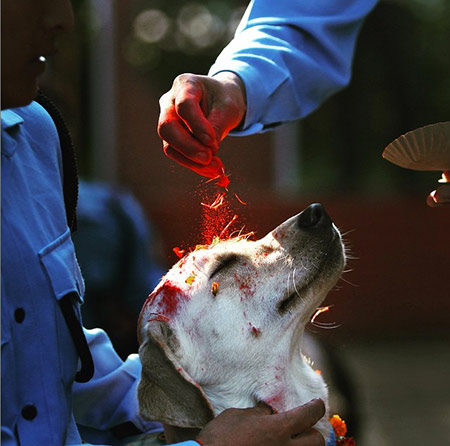 festival in nepal 