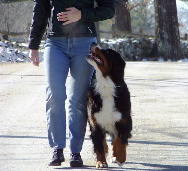 Gwen practices heeling