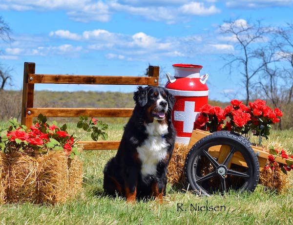 Gwen posing with a milk can