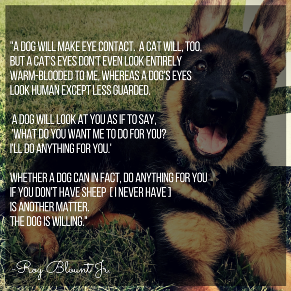 Meaningful Quotes About Dogs