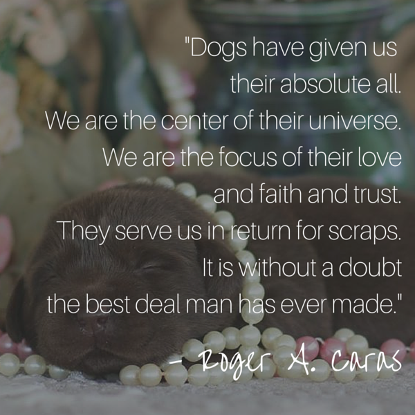 Caras Dog Quote