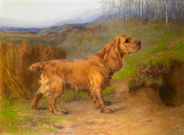 painting of a cocker spaniel 