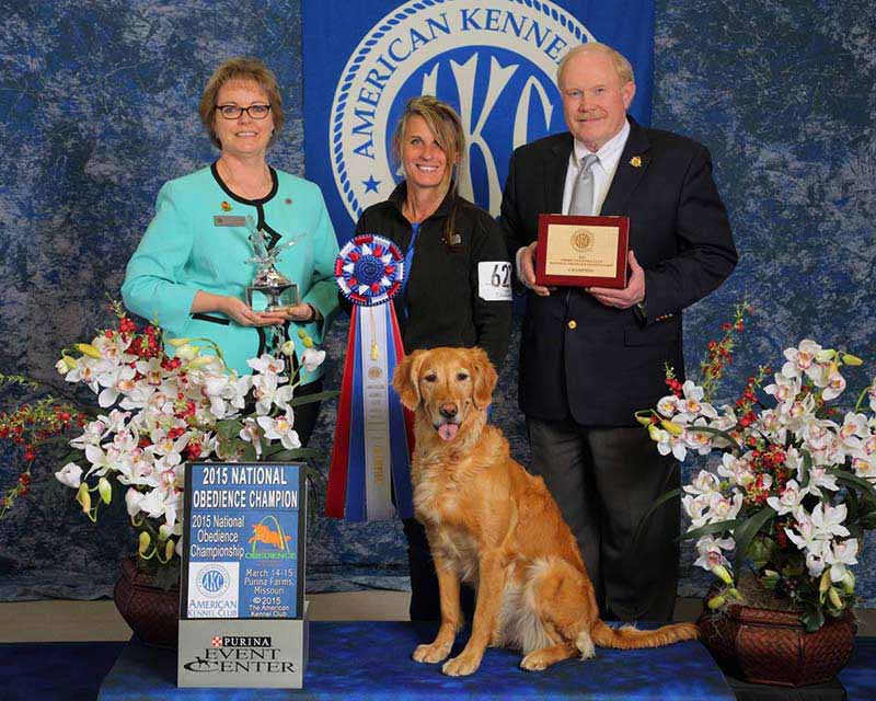 Winners Crowned at Rally and Obedience National Championships