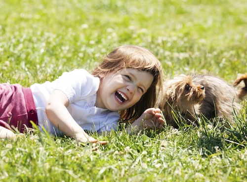 can babies get roundworms from dogs