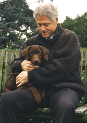 Bill Clinton with Labrador Retriever