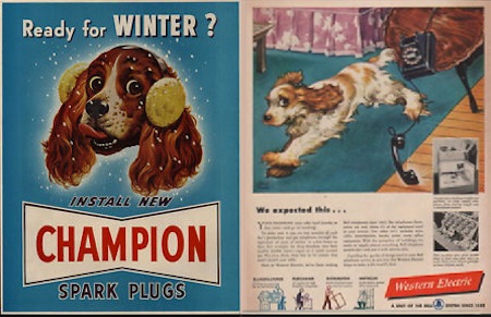 cocker spaniel in vintage ad