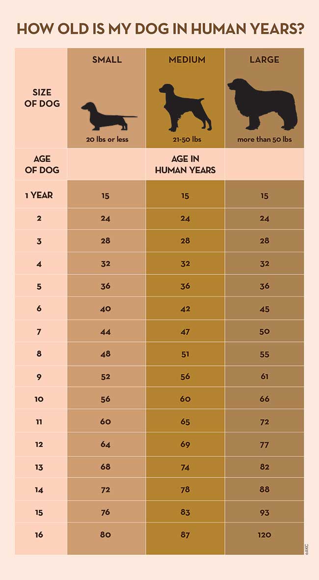 Count Age Chart