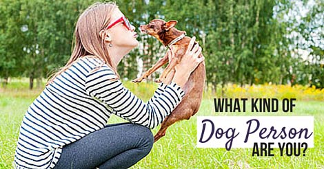 Quiz: What Kind Of Dog Person Are You? – American Kennel Club