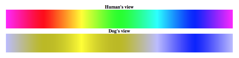 dog vision color spectrum 