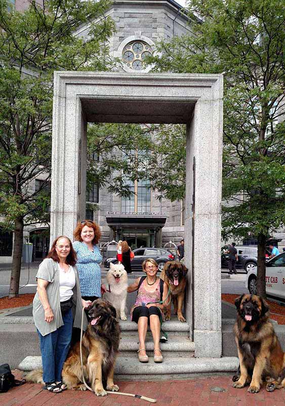 Giant Dogs in Boston 2