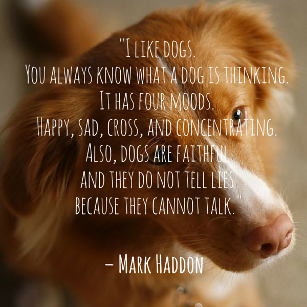 a good quote for a dog