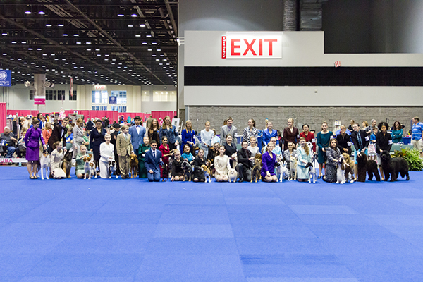 Junior Photo Gallery 2015 AKC Eukanuba Championship American Kennel Club