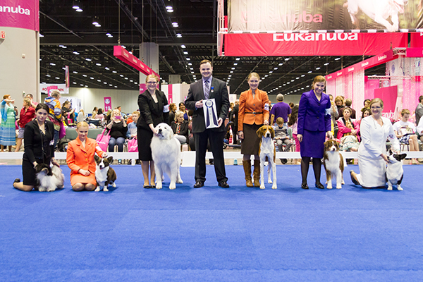 Junior Photo Gallery 2015 AKC Eukanuba Championship American Kennel Club