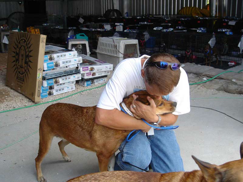 Katrina dog hug