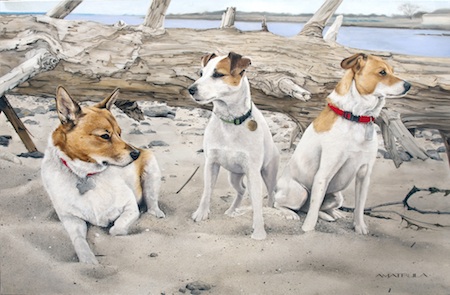 three amigos terrier