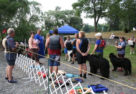 newfoundland lifesaving1