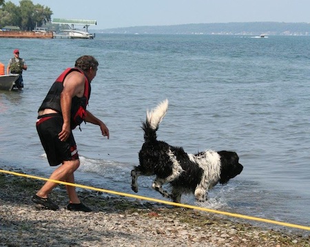 newfoundland lifesaving15