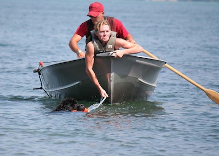 newfoundland lifesaving