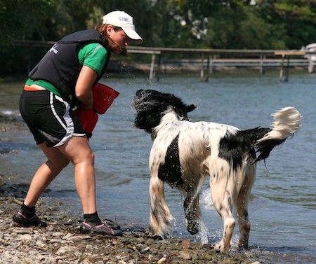 newfoundland lifesaving