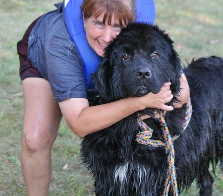 newfoundland lifesaving22