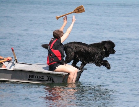 newfoundland lifesaving23