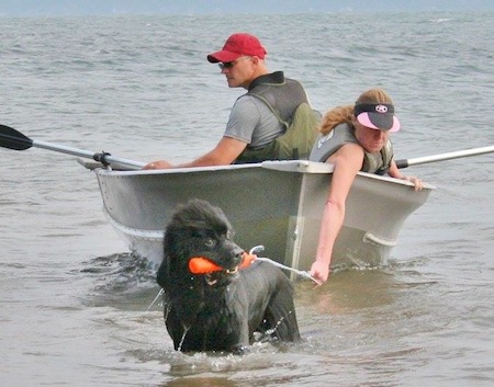 newfoundland lifesaving25