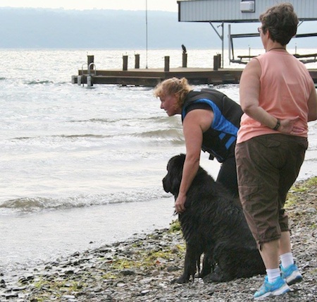 newfoundland lifesaving7