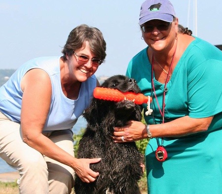  Newfoundland Lifesaving judge