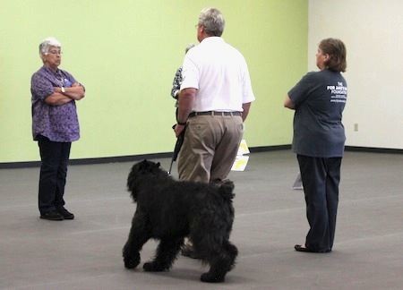 news articles on obedience news articles on obedience