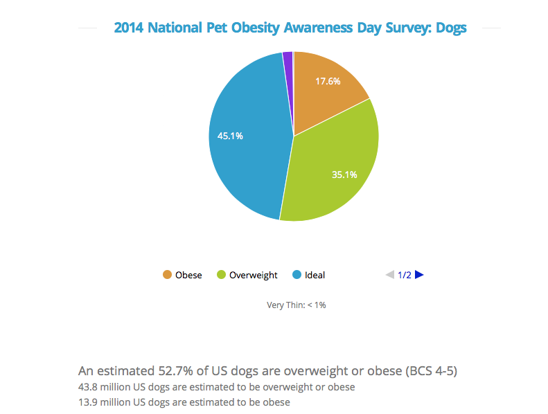 Dog Obesity Chart