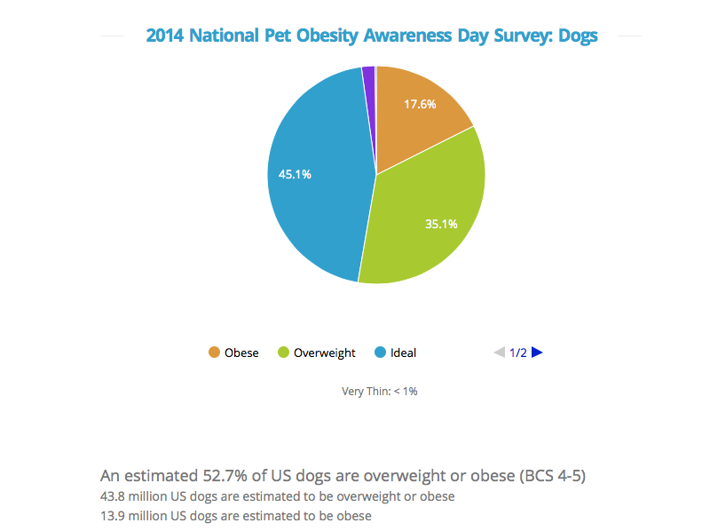 Your pet's healthy weight  American Veterinary Medical Association