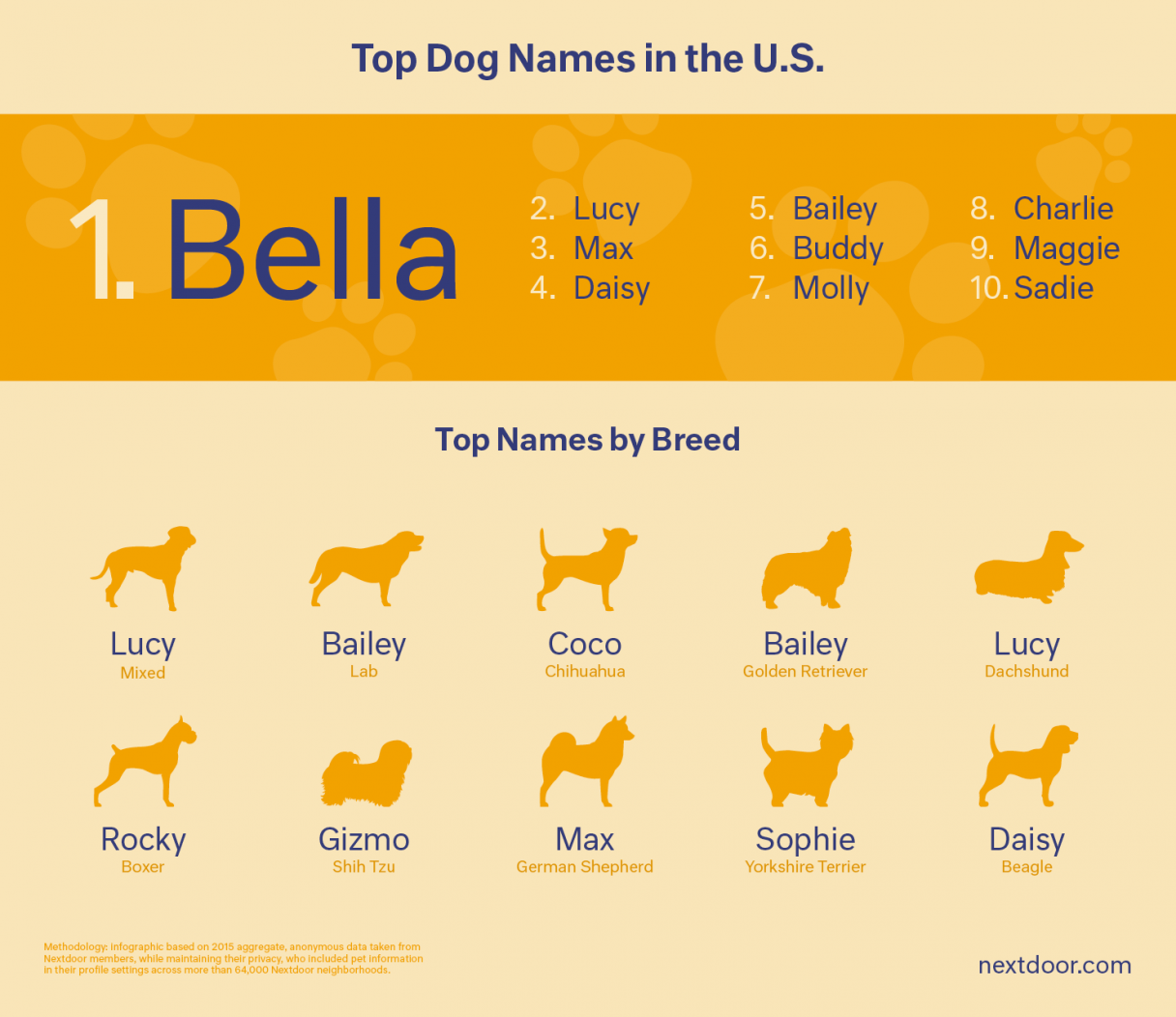 Is Your Dog’s Name the Most Popular for His Breed? – American Kennel Club