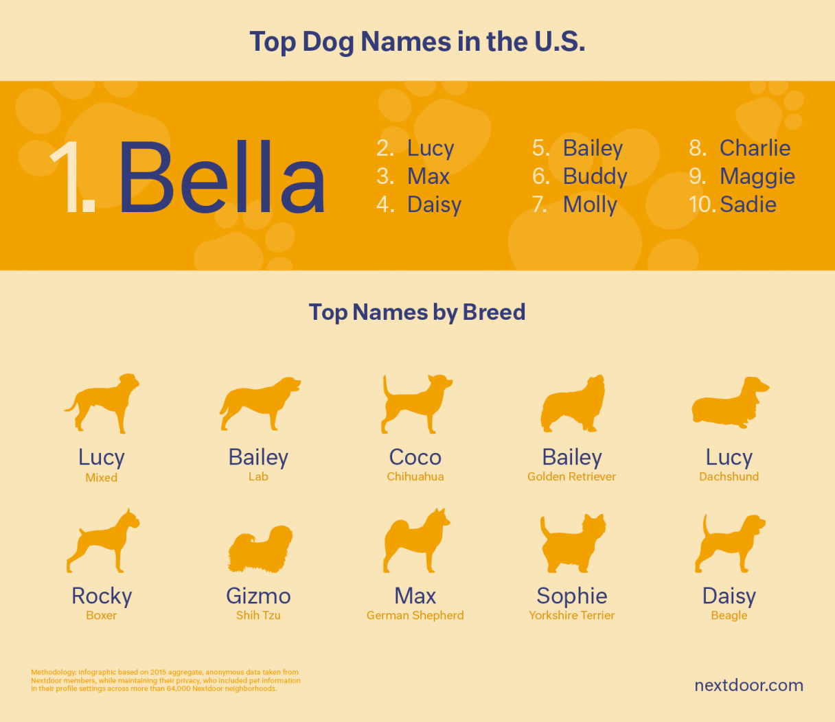 What Should You Name Your Dog? Unleash Creative Ideas!