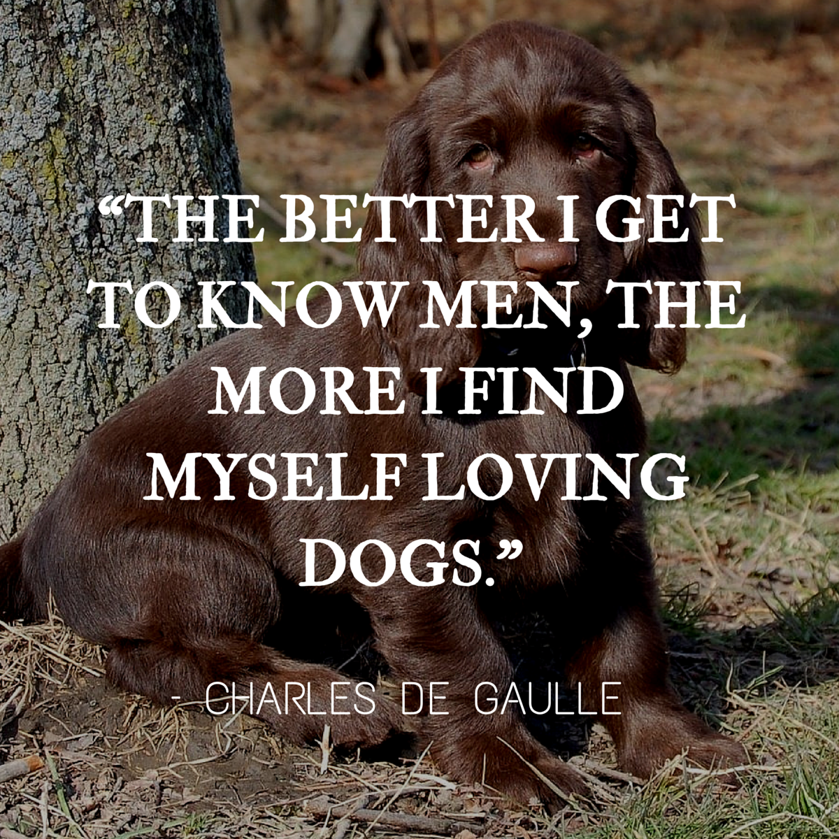 dog quote de gaulle