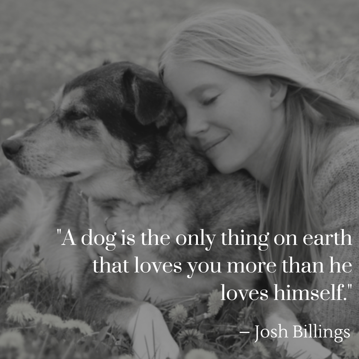 dog quote billings