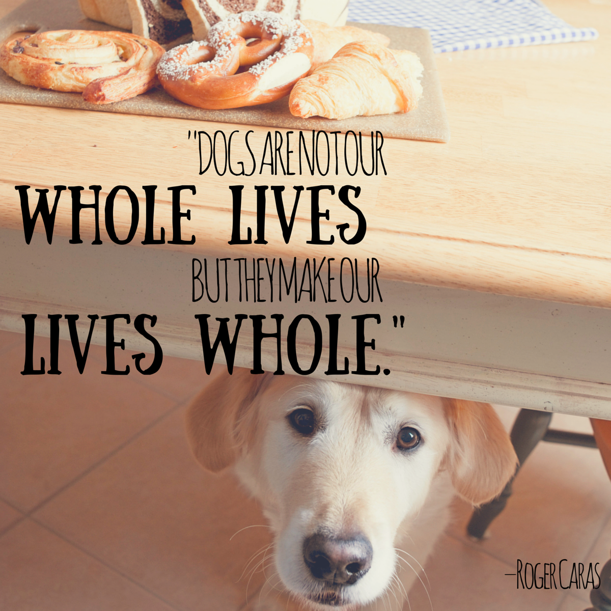 Animal Quotes