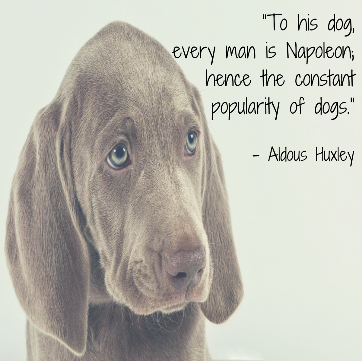 dog quote huxley