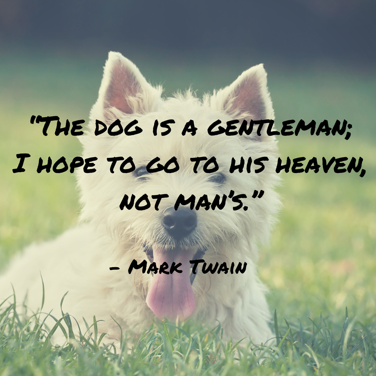 what did mark twain say about dogs