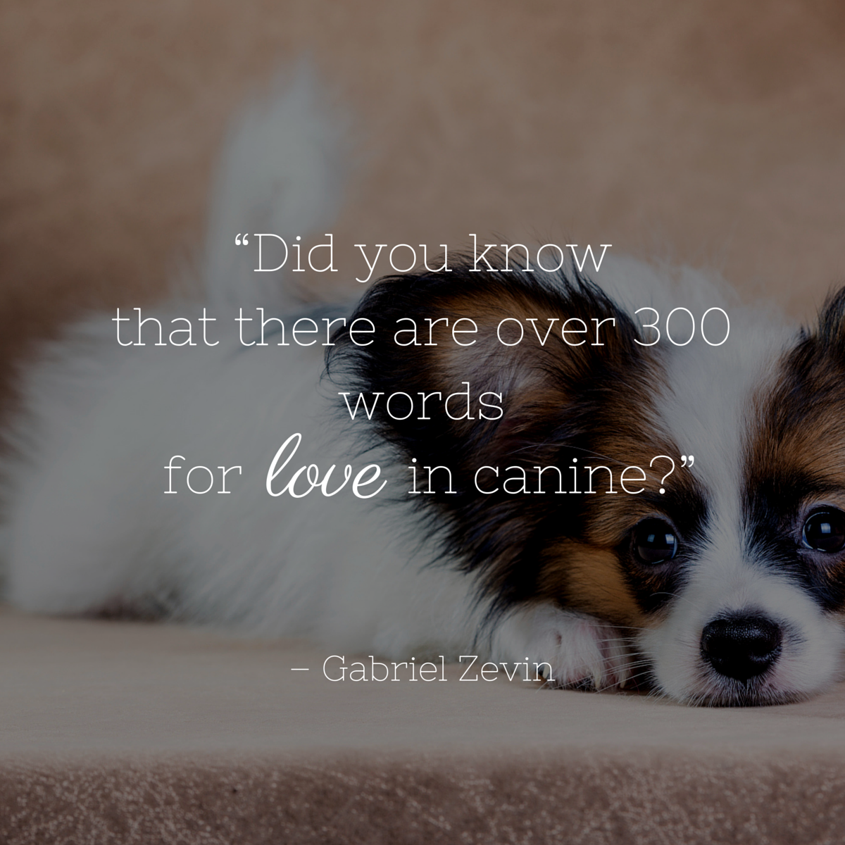 dog love sayings