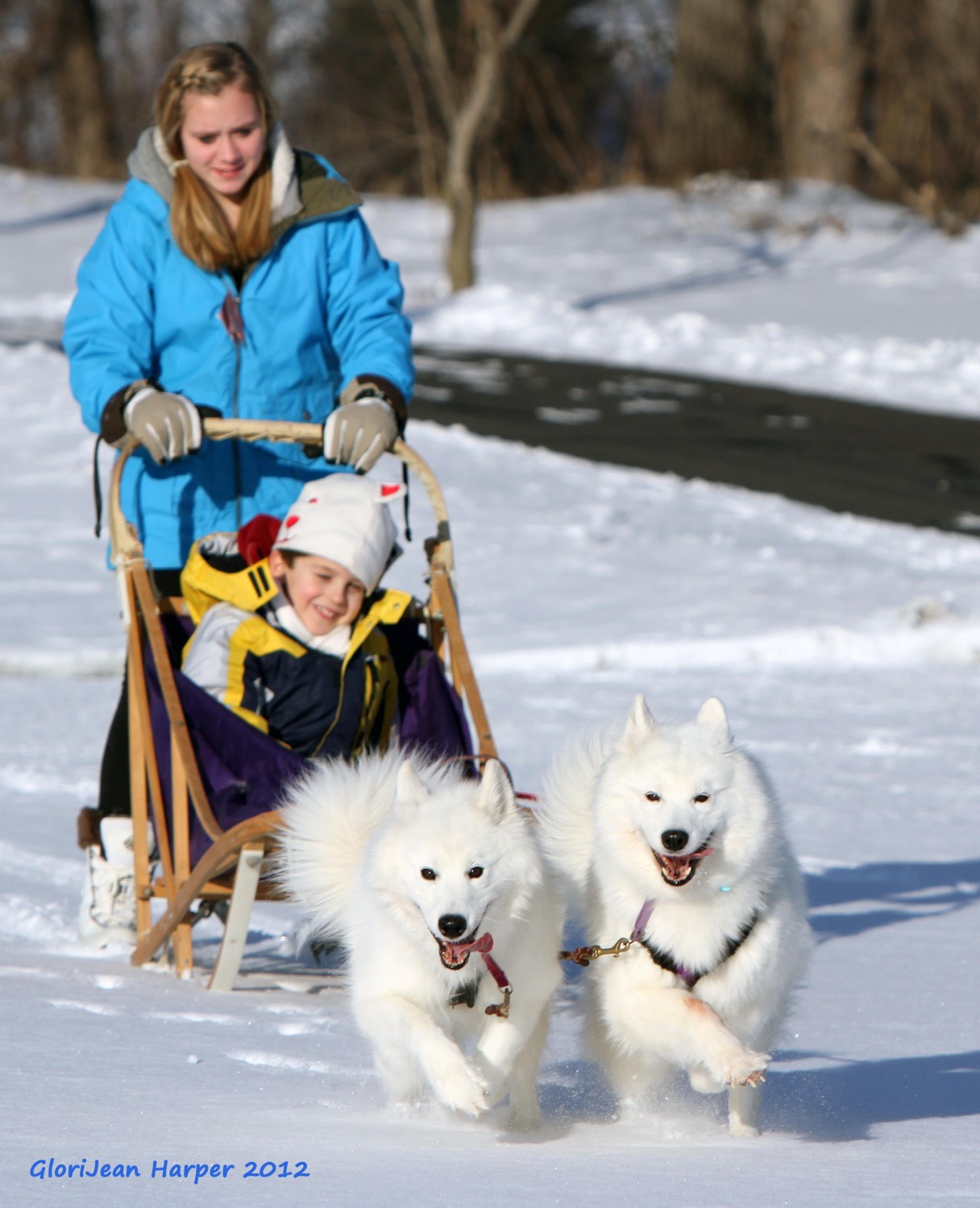 10 Things You Probably Didn't Know About The Smiling Samoyed – American