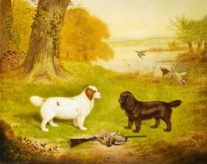 three spaniels