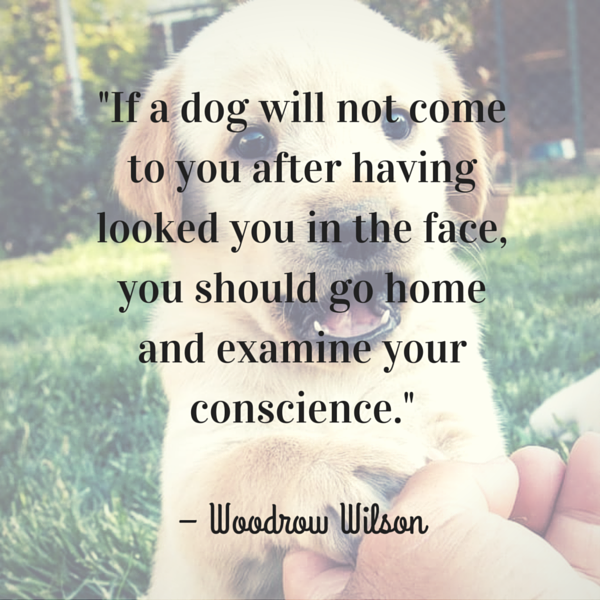 Wilson Dog Quote