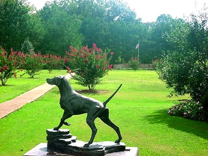 Along the entrance walkway of the Bird Dog Museum is a life-size bronze of National Champion Elhew’s Snakefoot, who sired 11 field trial champions and was elected to the Field Trial Hall of Fame in 2005.