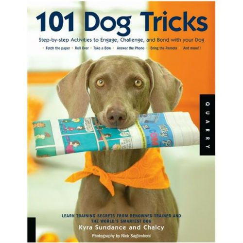 101 Dog Tricks