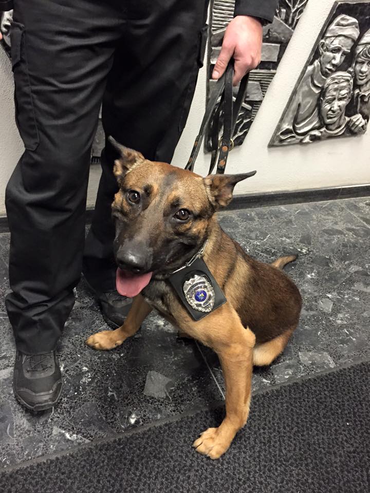 k-9 officer nckc