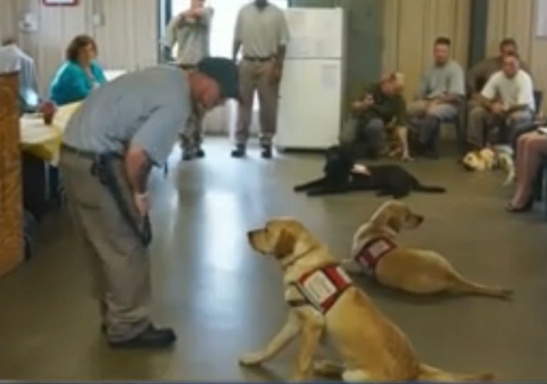 Meet The First Class of Service Dogs To Graduate From Inmate Training